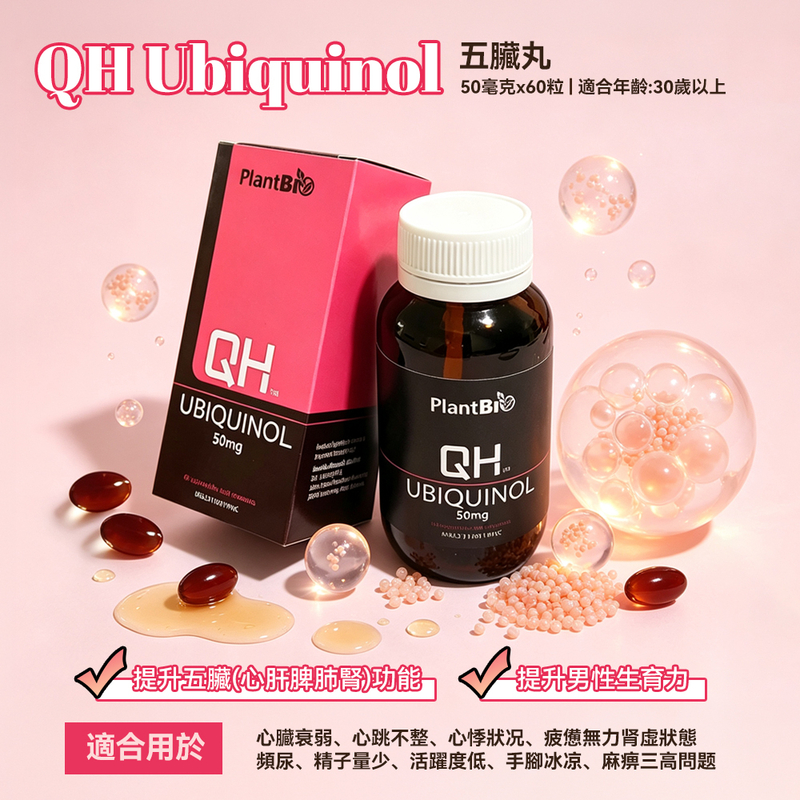 QH Ubiquinol 五臟丸